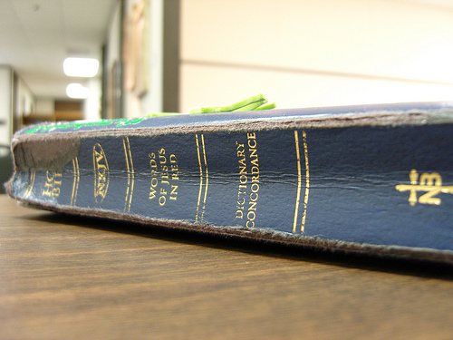 3913993571_665289b10d